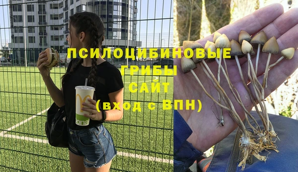 ALPHA PVP Пролетарск