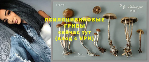 ALPHA PVP Пролетарск