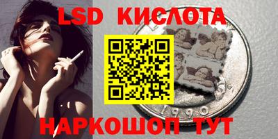Альфа ПВП Гатчина