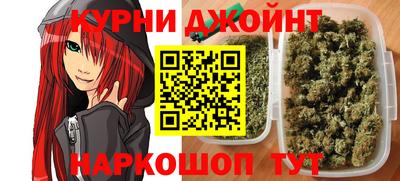 Альфа ПВП Гатчина