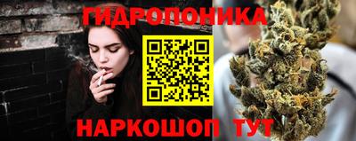 Альфа ПВП Гатчина